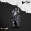 QUESTING_KNIGHT_1 Caballeros andantes (Questing Knights)