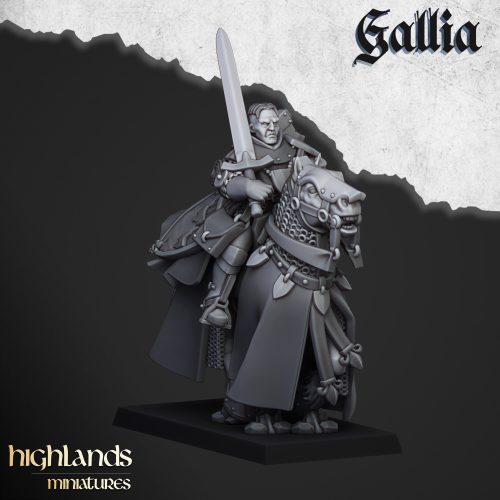 QUESTING_KNIGHT_3 Caballeros andantes (Questing Knights)