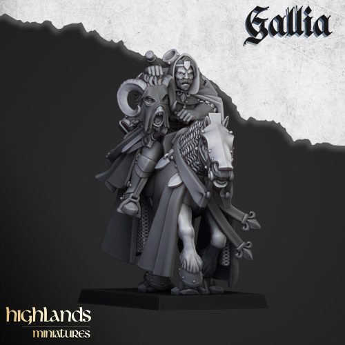 QUESTING_KNIGHT_CAPTAIN Caballeros andantes (Questing Knights)
