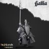Caballeros reales de Gallia (Royal Knights of Gallia)