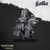 Caballeros reales de Gallia (Royal Knights of Gallia)