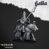 Caballeros reales de Gallia (Royal Knights of Gallia)