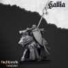 Caballeros reales de Gallia (Royal Knights of Gallia)
