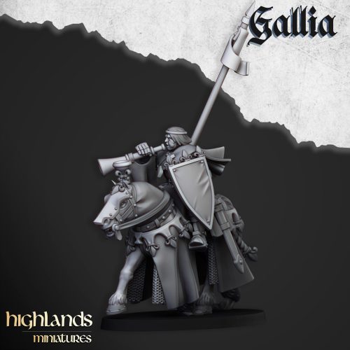 Caballeros reales de Gallia (Royal Knights of Gallia)