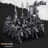 Caballeros reales de Gallia (Royal Knights of Gallia)