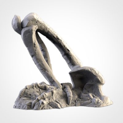 22_08_G_BONES_06 Huesos gigantes (Gigantic bones)