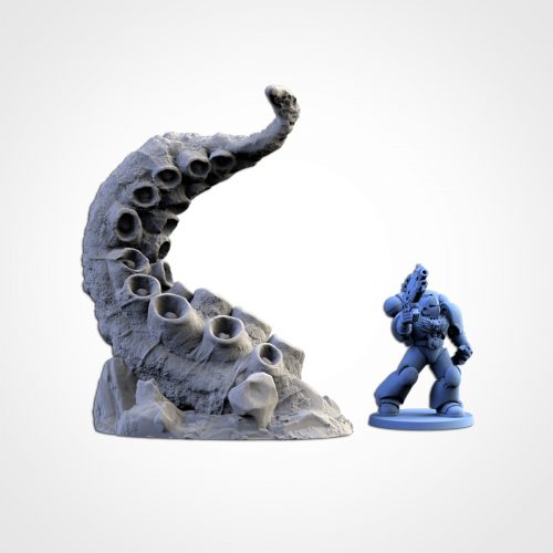 23_04_KRAKEN_08 Kraken