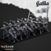 Arqueros de Gallia (Gallian archers)