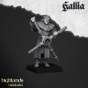 Catapulta de Gallia (Gallia Trebuchet)