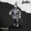 KNIGHT_OF_GALLIA_FOOT_4 Caballeros de Gallia a pie (Knights of Gallia on foot)
