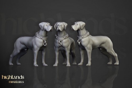 Banda inquisitorial (Inquisitorial band)