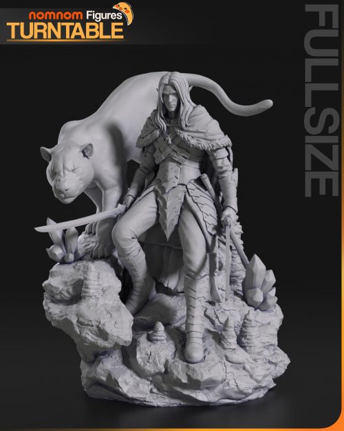 Drizzt DoUrder