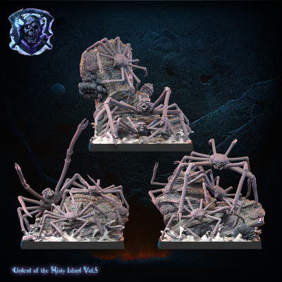 Skull spiders (Arañas calavera)