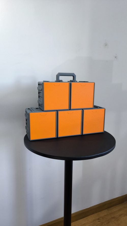 Cube Pro Organizer - Cube to Go (Caja de transporte de miniaturas)