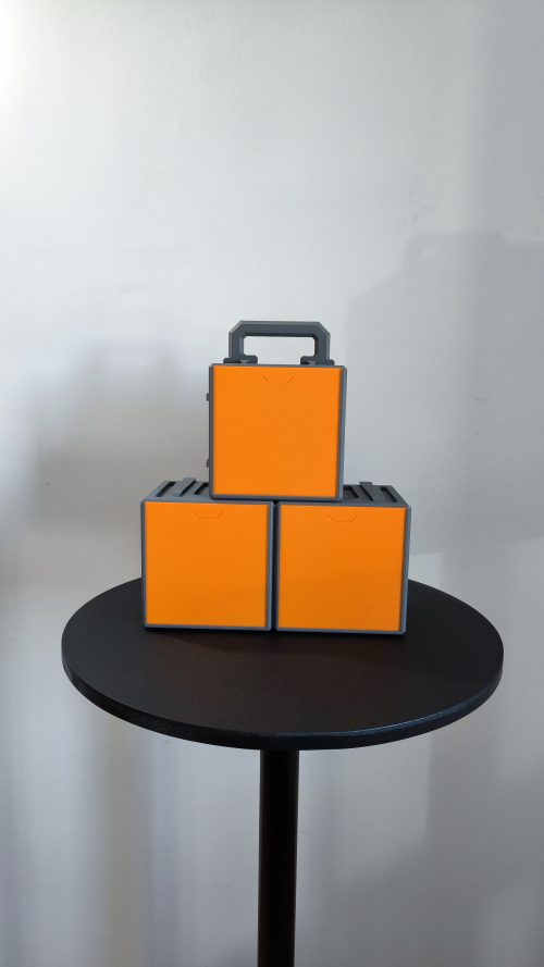 Cube Pro Organizer - Cube to Go (Caja de transporte de miniaturas)