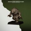VERMIN_ACOLYTE_3 Acólitos de la plaga