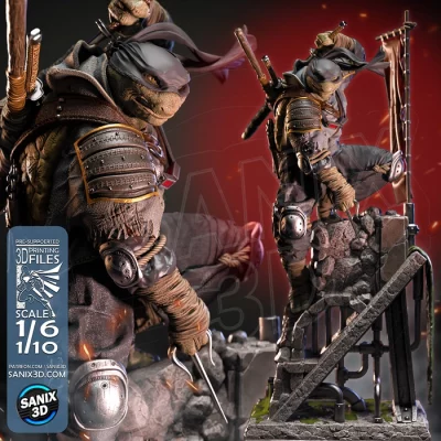 Ronin – TMNT