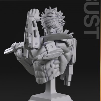 Busto de Raiden