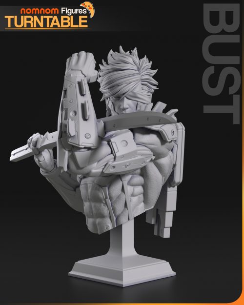 Busto de Raiden