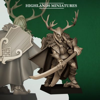 Noble de los Elfos Silvestres