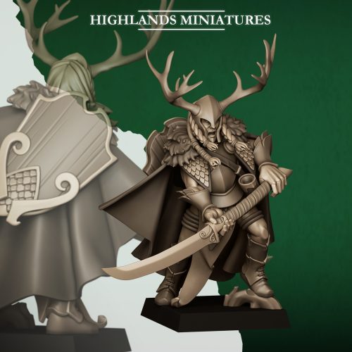 Noble de los Elfos Silvestres