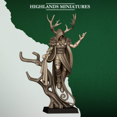 Druida de los Elfos Silvestres