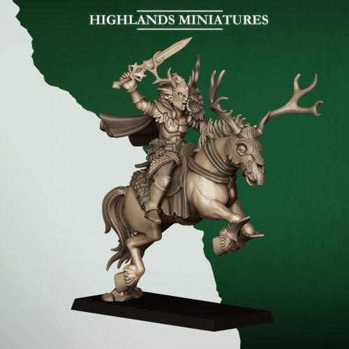 FOREST RIDER CAPTAIN FOREST RIDER CAPTAIN