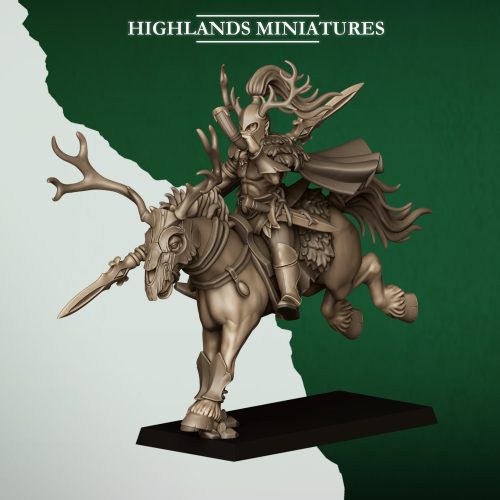 FOREST RIDER MUSICIAN FOREST RIDER MUSICIAN