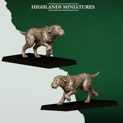 FERAL ANIMALS WARHOUNDS FERAL ANIMALS WARHOUNDS