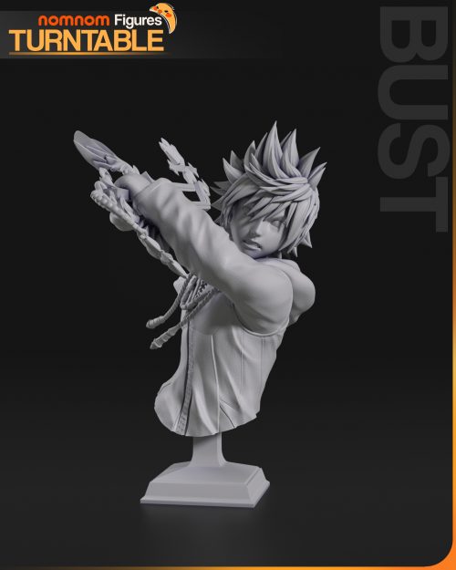 Bust Roxas