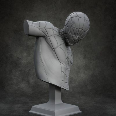 Bust