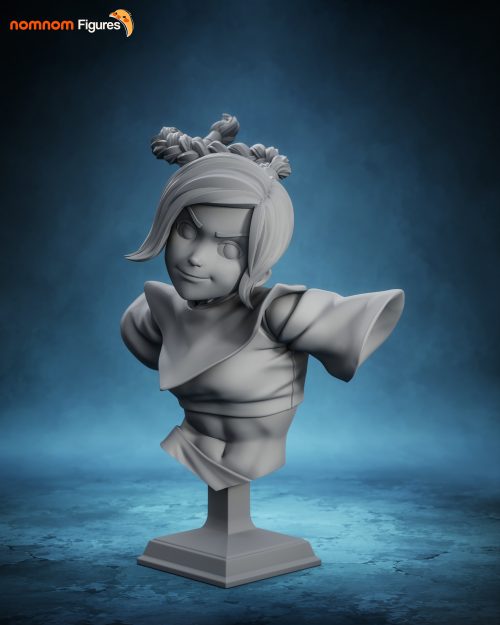 Turntable Bust